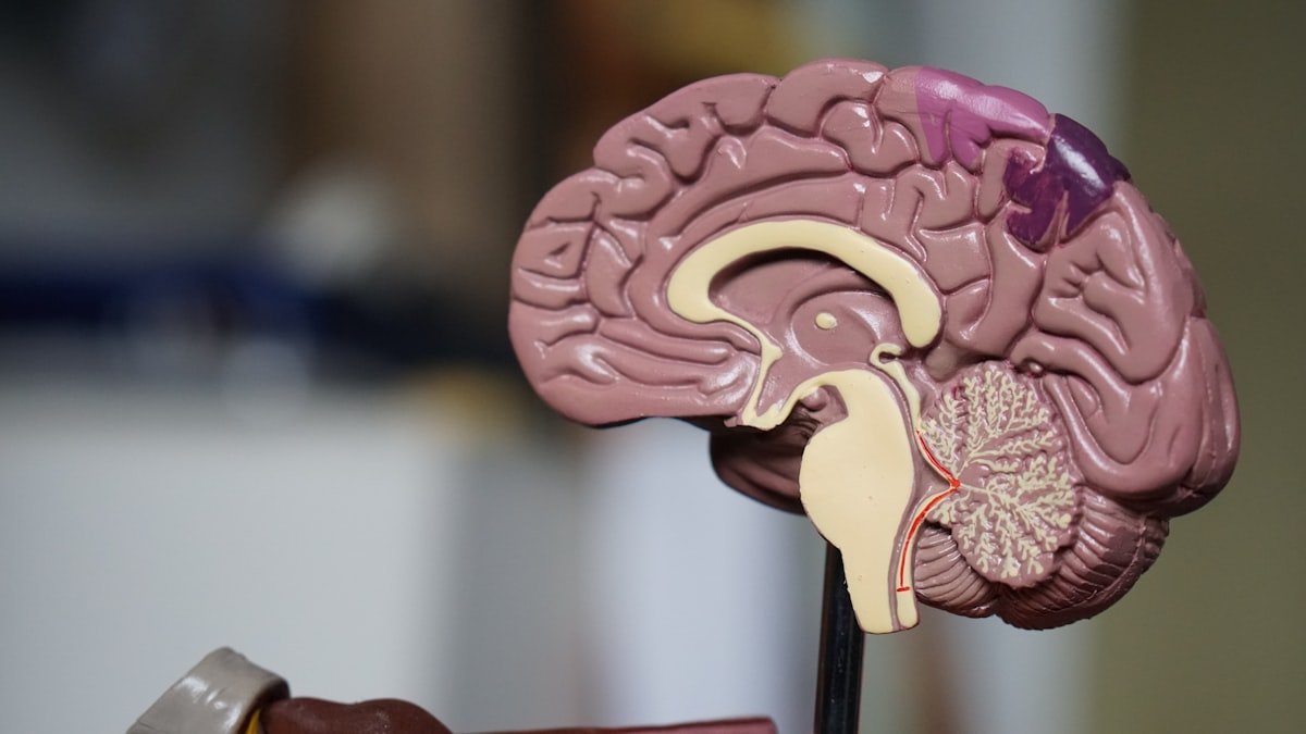 Neurology Clinic Software India — Manage Complex Neurological OPD